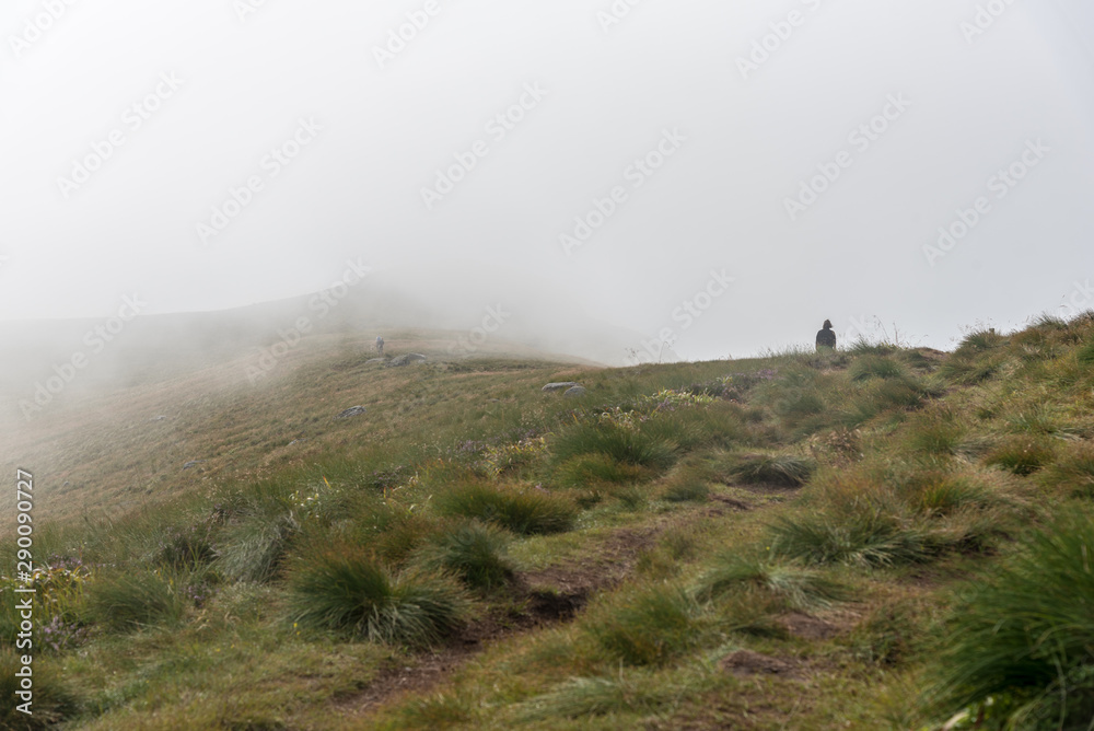 Blick über dir Vogelinsel Runde im Nebel Norwegen