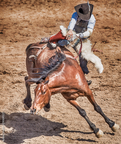 unknown cowboy bucked off of horse at rodeo