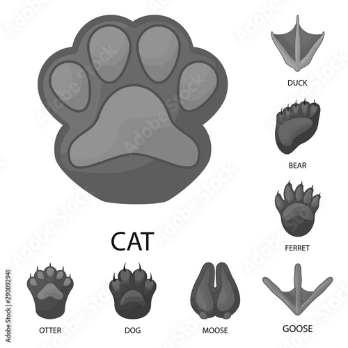 Isolated object of wildlife and trace symbol. Collection of wildlife and walk stock symbol for web.
