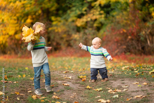 Happy little boys with autumn leaves in the park