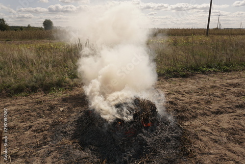 burning of dry plants