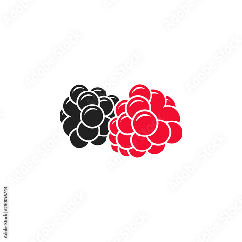 Fresh berries. Vector illustration. Juicy raspberry and blackberry on white background