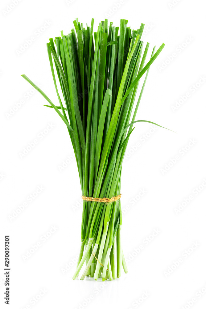 Garlic chives isolated on white background Garlic chives isolated on white background