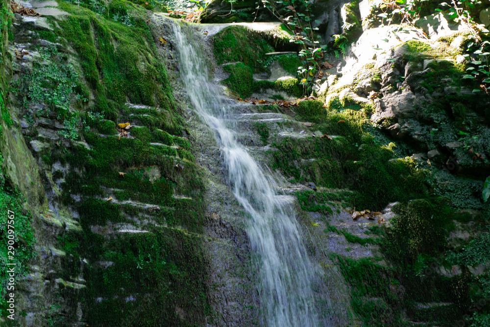 Fototapeta premium Waterfall from ravine.waterfall from the mountain river. rapid current