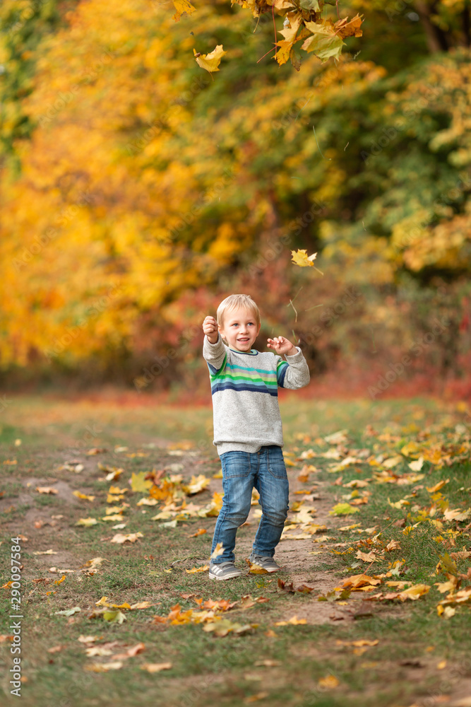Happy little boy with autumn leaves in the park Happy little boy with autumn leaves in the park