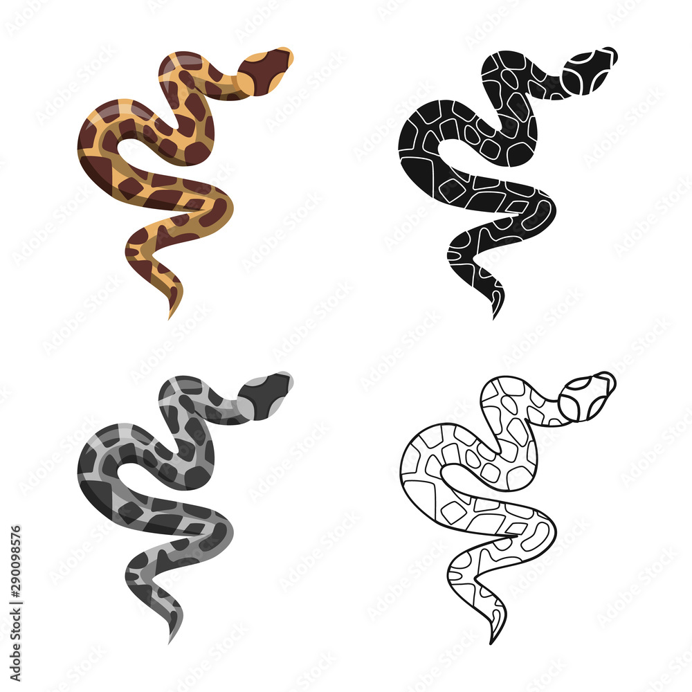Fototapeta premium Isolated object of serpent and venomous icon. Graphic of serpent and skin vector icon for stock.