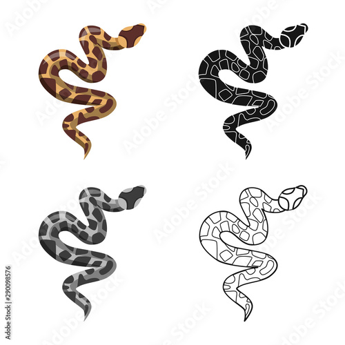 Isolated object of serpent and venomous icon. Graphic of serpent and skin vector icon for stock.