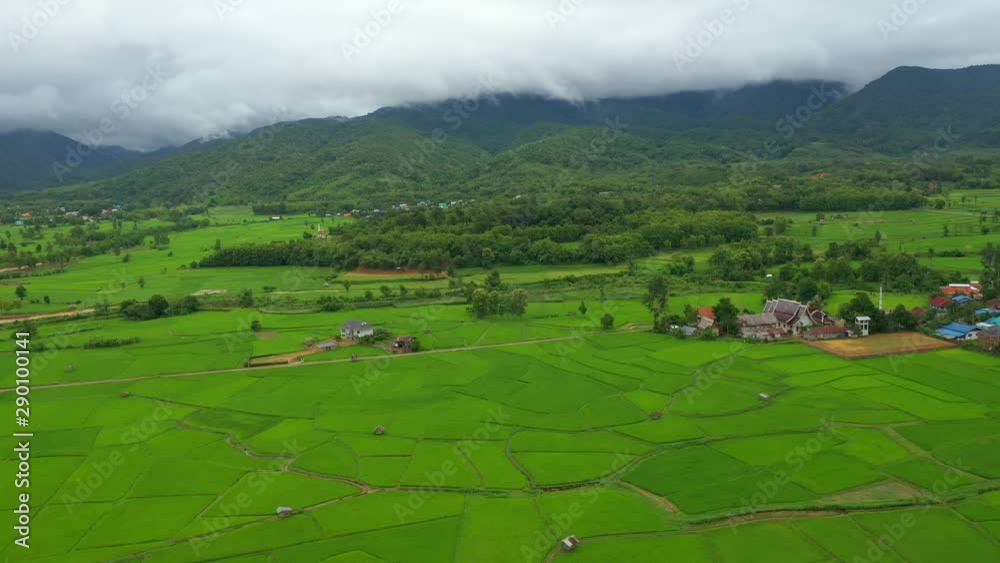 Aerial view of agriculture in rice fields for cultivation in Nan, Thailand Aerial view of agriculture in rice fields for cultivation in Nan, Thailand