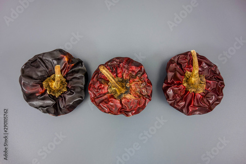 Ñoras, spanish dried peppers on a grey background photo