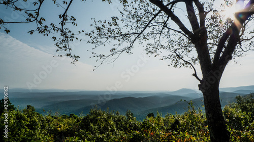 Fototapeta Naklejka Na Ścianę i Meble -  Scenic view, Talimena Scenic Byway, Oklahoma