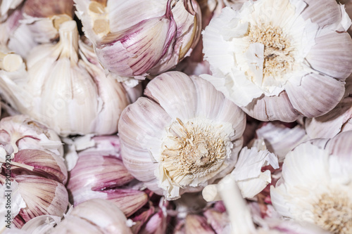 Close-up of fresh garlic in shop