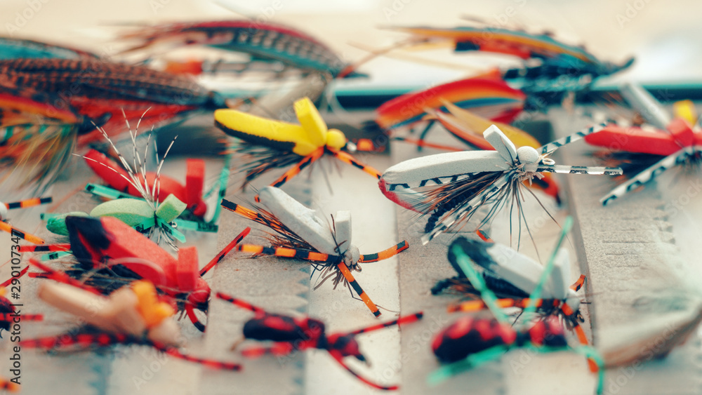 Dry flies for fly fishing.