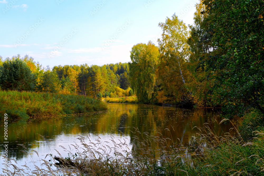 Fototapeta premium Autumn landscape on the banks of a forest river on a sunny warm day.