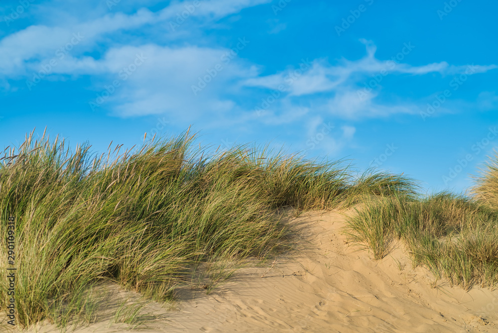 Sanddüne Sanddüne