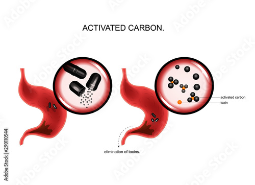 action of activated carbon on toxins in the stomach. photo