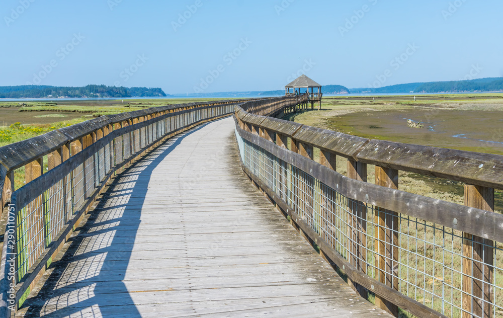 Fototapeta premium Nisqually Wetlands Boardwalk 11