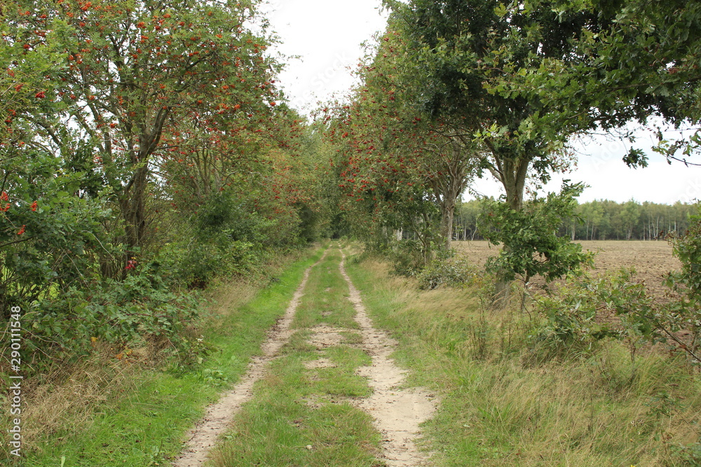 an agricultural way an agricultural way