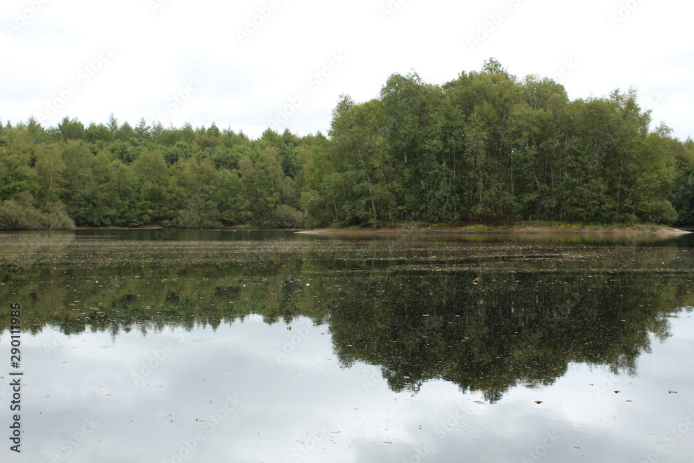 a pebble lake in the moor with an island in northern Germany