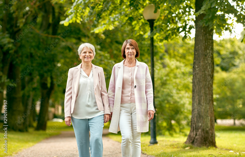 old age, retirement and people concept - two senior women or friends walking along summer park old age, retirement and people concept - two senior women or friends walking along summer park