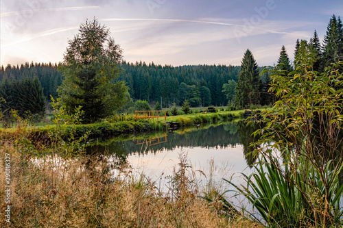 Thierbacher Teich Jägersgrün