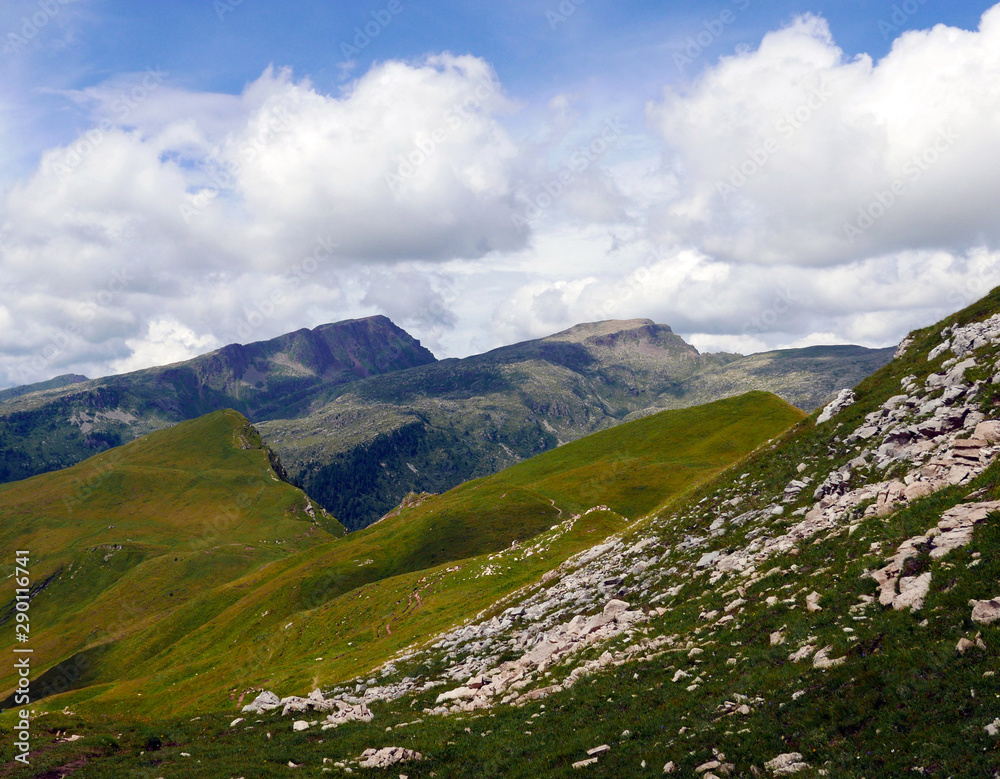 Naklejka premium meravigliosa vista delle spettacolari montagne dolomitiche in estate, tra rocce e verdi vallate