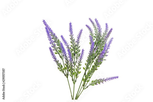 Fototapeta Naklejka Na Ścianę i Meble -  Purple lavender picture lavender overlay