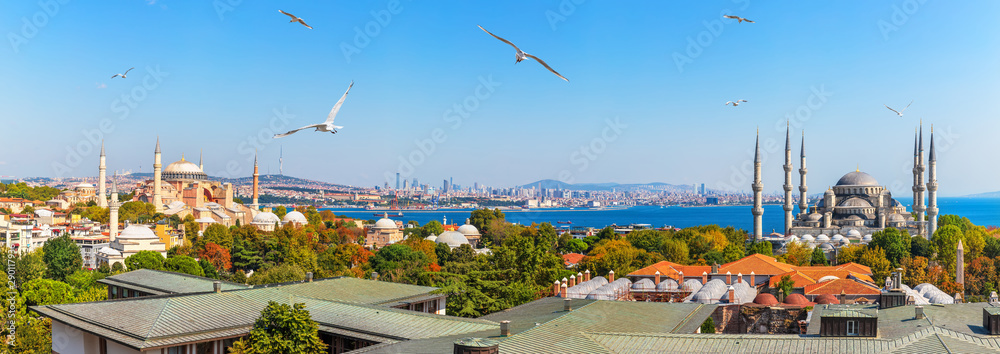 Obraz na płótnie Istanbul panorama: view on the Hagia Sophia and the Sultan Ahmed Mosque w salonie
