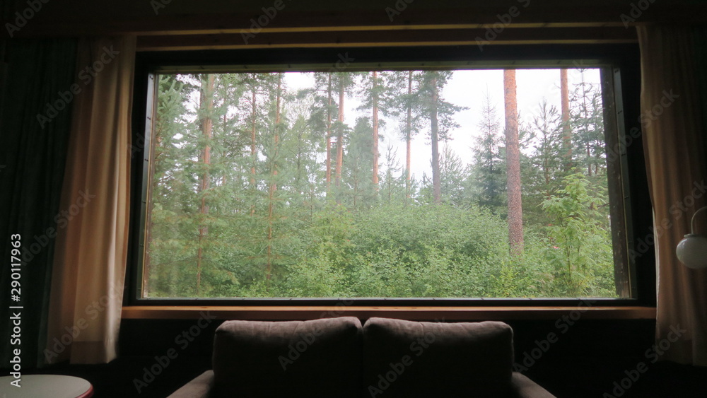 Obraz premium Blick aus dem Fenster in den Wald 