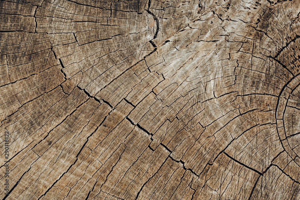 Fototapeta premium Wooden texture background. Brown wood texture, old wood texture for add text or work design for backdrop product. top view