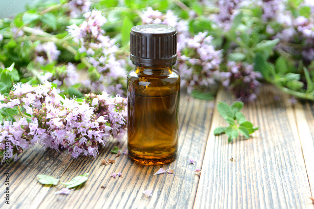 Essential oil of oregano in a bottle and fresh flowers on a wooden table Natural cosmetics and aromatherapy Essential oil of oregano in a bottle and fresh flowers on a wooden table Natural cosmetics and aromatherapy