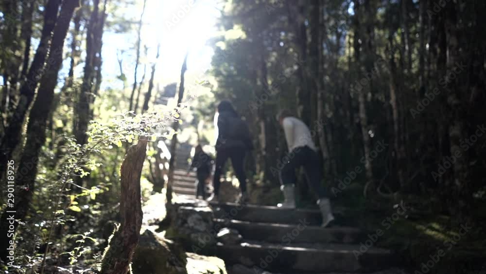 Anonymous travelers climbing steps in forest Anonymous travelers climbing steps in forest
