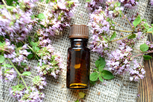 Essential oil of oregano in a bottle and fresh flowers Natural cosmetics and aromatherapy
