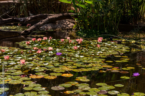 Kiryat Sefer Park in Tel Aviv