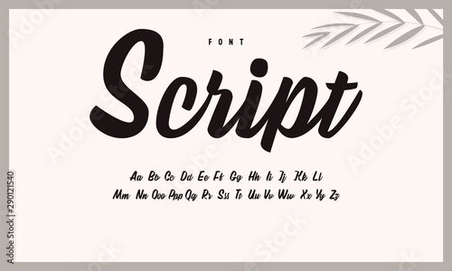 Handwritten calligraphic alphabet. Brush font, script.