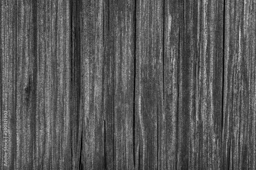 Obraz premium Wood texture, grey wooden background, vintage timber plank wall close up.