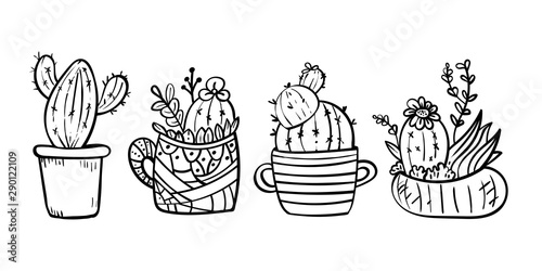 Cacti blooming with spikes. Coloring page for children and adults. - Vector. Vector illustration