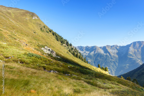 Bergwiese in den herbstlichen Alpen