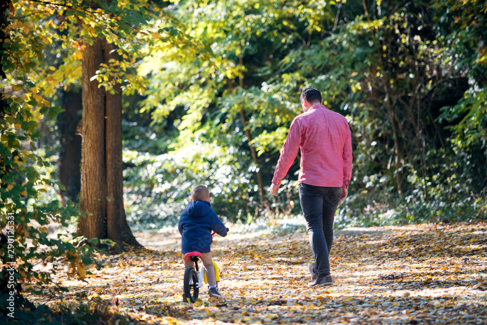 Fototapeta premium Rear view of father and small son with a balance bike on a walk in autumn forest.