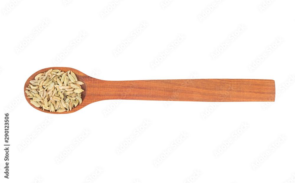 Dry fennel in spoon Dry fennel in spoon