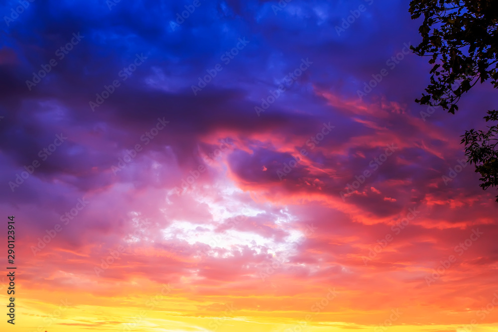 natural texture of fabulous sunset bright sky with different shades of blue , pink and lilac shimmer on the Golden clouds protrudes from behind the trees