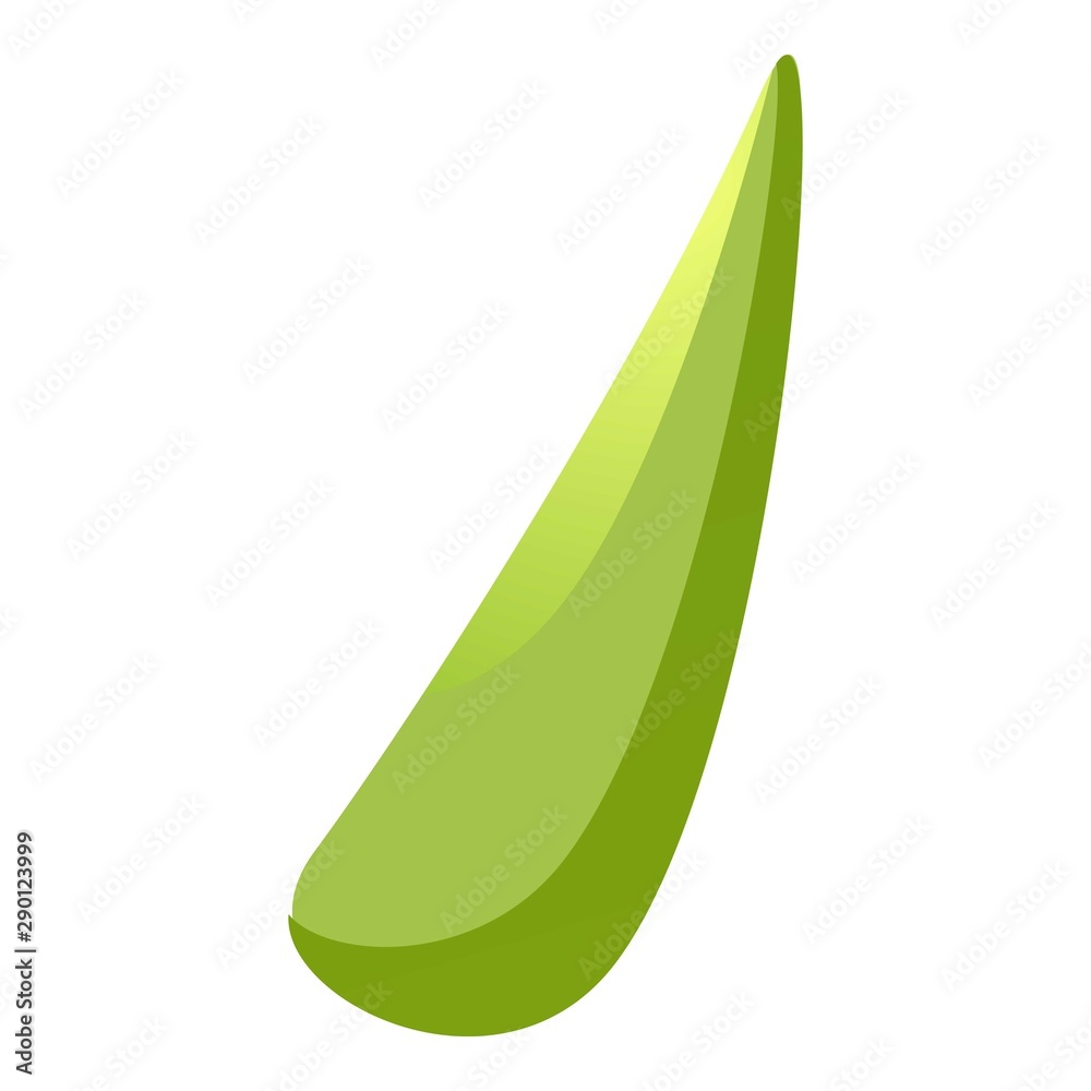 Green flower leaf icon. Cartoon of green flower leaf vector icon for web design isolated on white background Green flower leaf icon. Cartoon of green flower leaf vector icon for web design isolated on white background