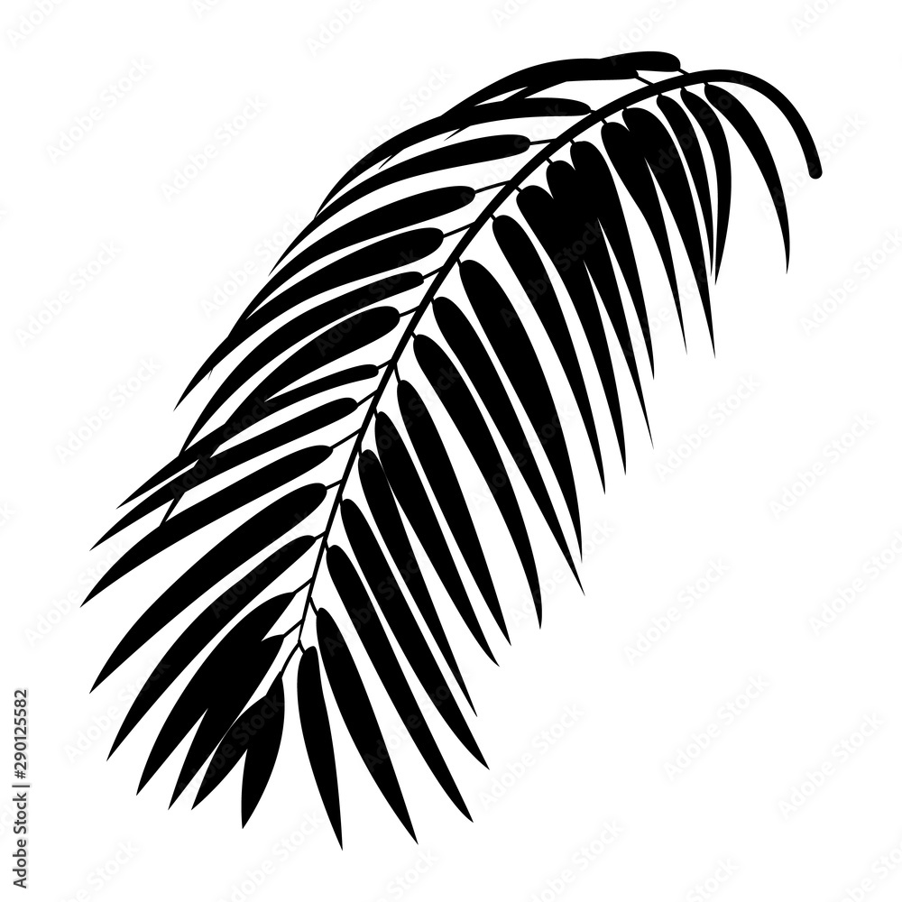 Fototapeta premium Tropical palm vector monochromatic illustration