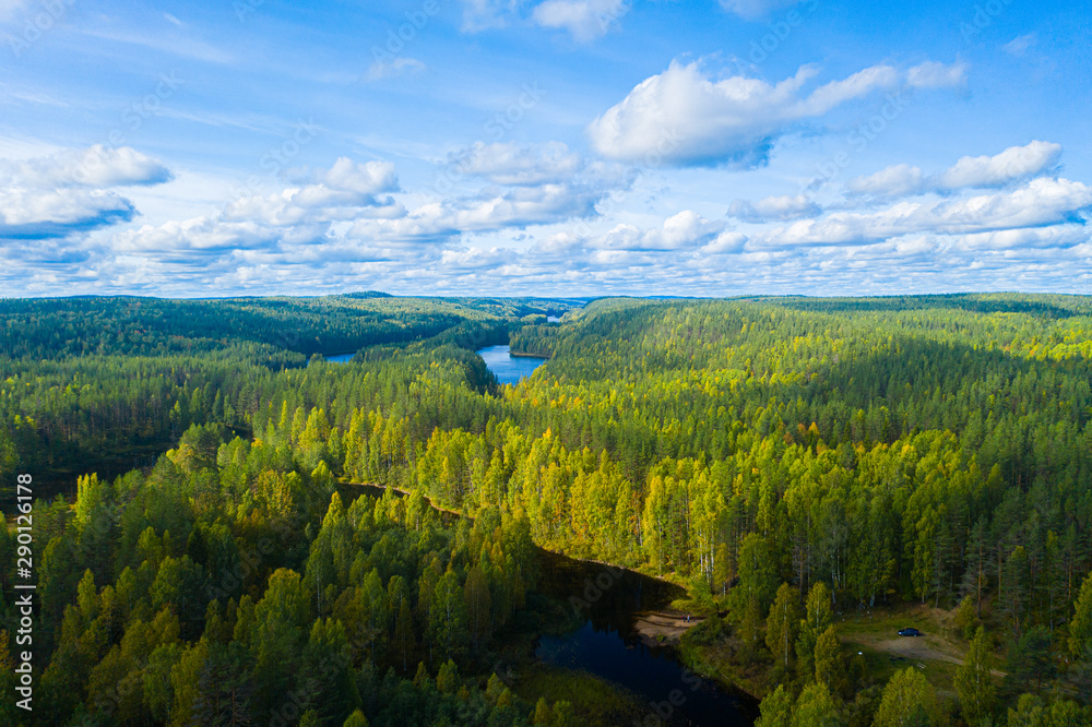 The reserved forests of Karelia in the area of Medvezhyegorsk Bird's-eye photography Background