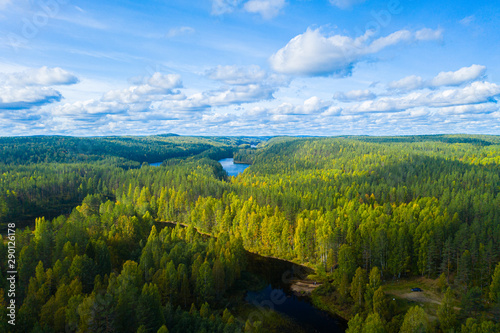 The reserved forests of Karelia in the area of Medvezhyegorsk Bird's-eye photography Background