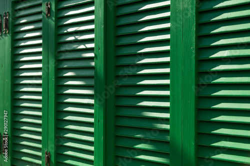 the green colorful shutter background.