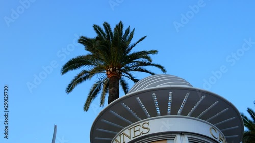 Rotating Cannes title with palm tree photo