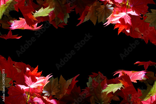 Autumn leaves borders