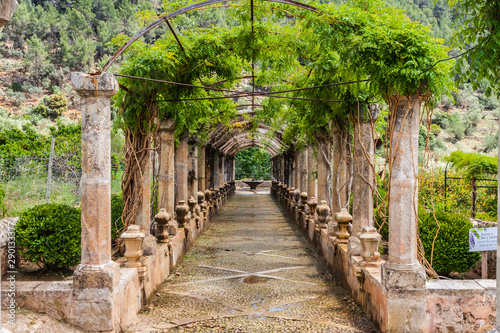 Jardines de Alfabia in Mallorca photo
