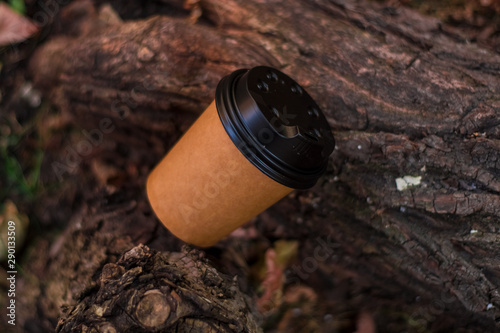 Paper, brown, one-tone and disposable eco-friendly coffee cup to go among autumn foliage and tree bark.