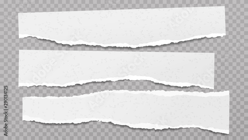 Set of torn white note, notebook paper pieces stuck on grey squared background. Vector illustration